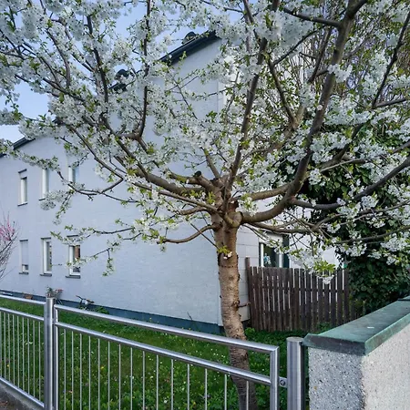 Chill In Soldnerstrasse Daire *